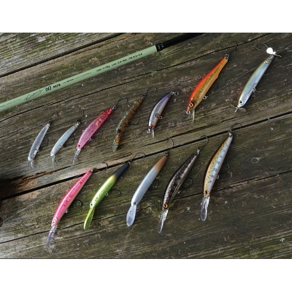 Lupus for Area Trout